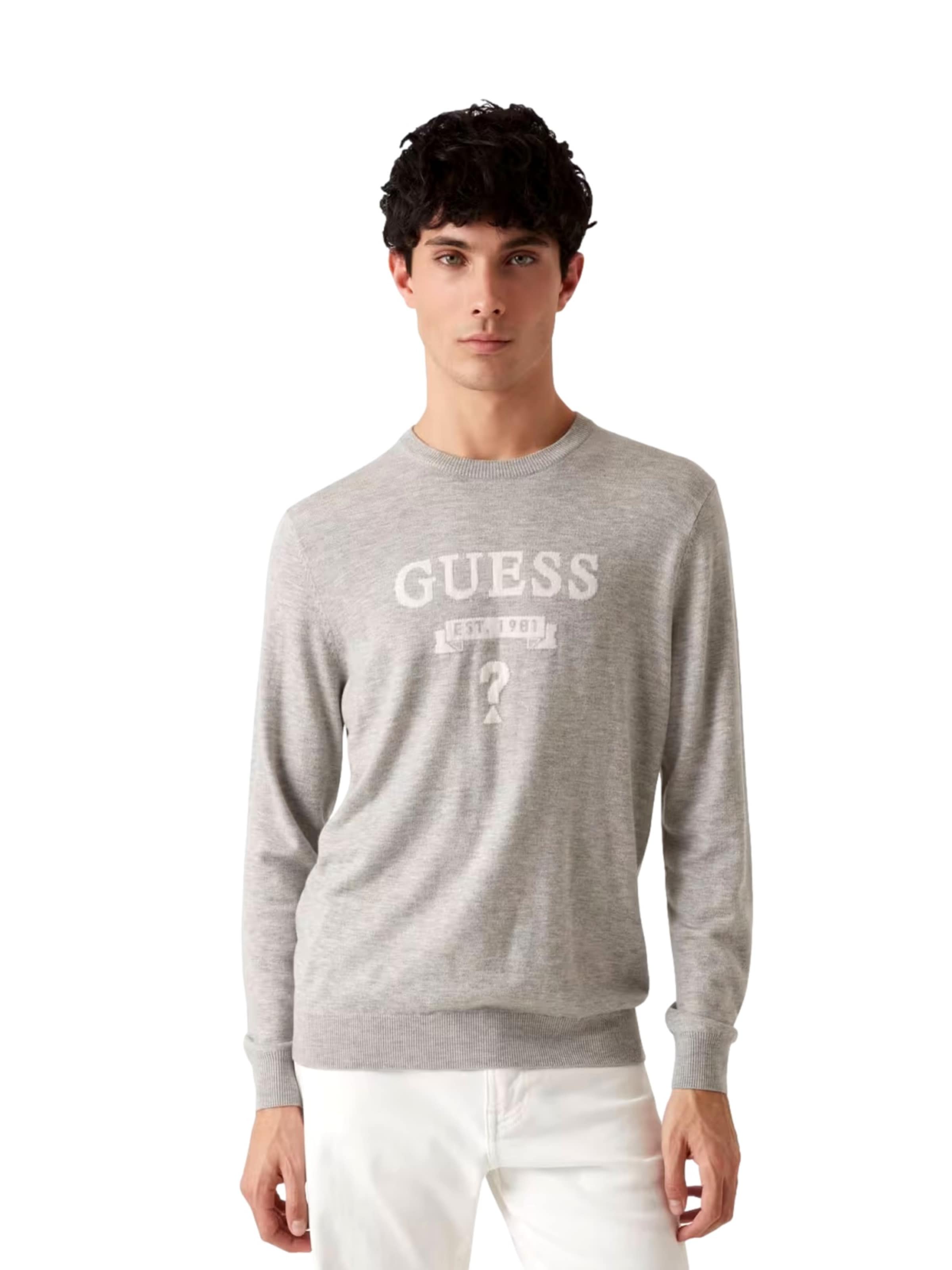 Pullover di GUESS in grigio: frontale