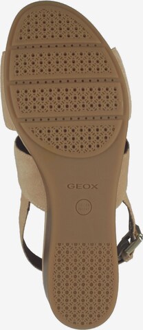 GEOX Sandals in Beige