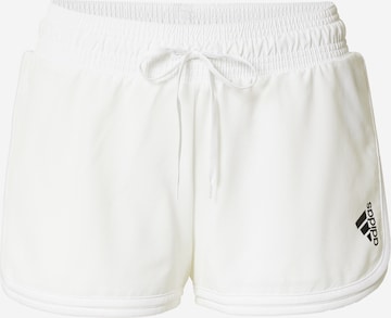ADIDAS SPORTSWEARregular Sportske hlače 'Club ' - bijela boja: prednji dio
