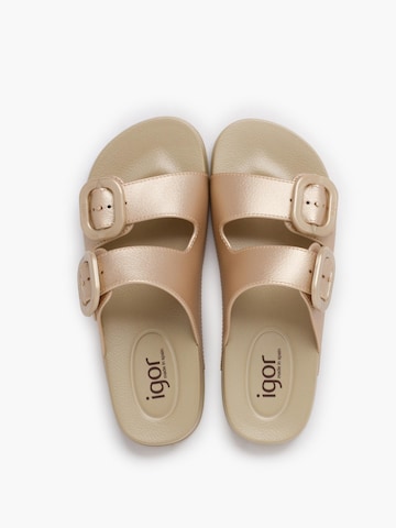 Claquettes / Tongs IGOR en beige