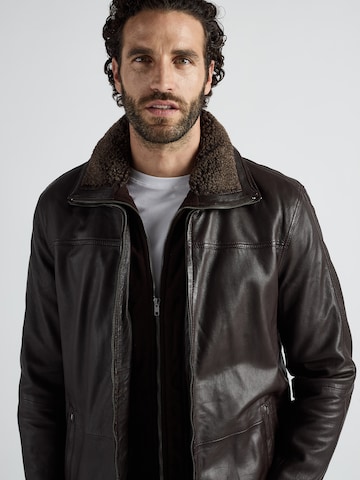 JCC Tussenjas 'MartinLN' in Bruin