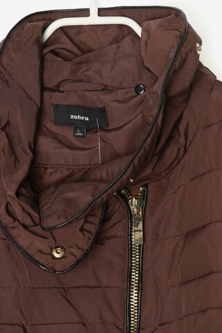 ZEBRA Jacket & Coat in L in Brown