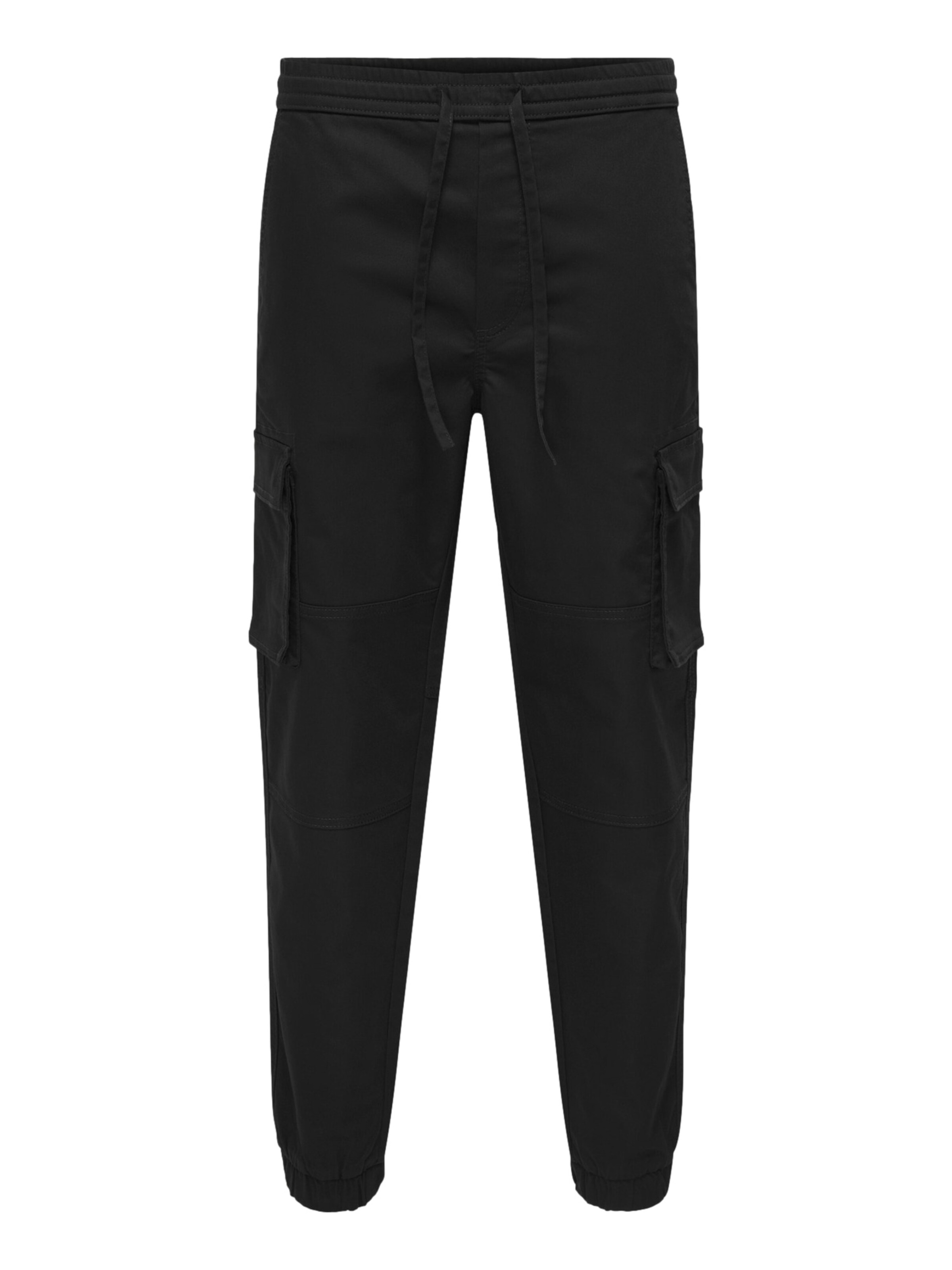 Only & Sons Cargo Pants 'ONSGARDA' in Black: front
