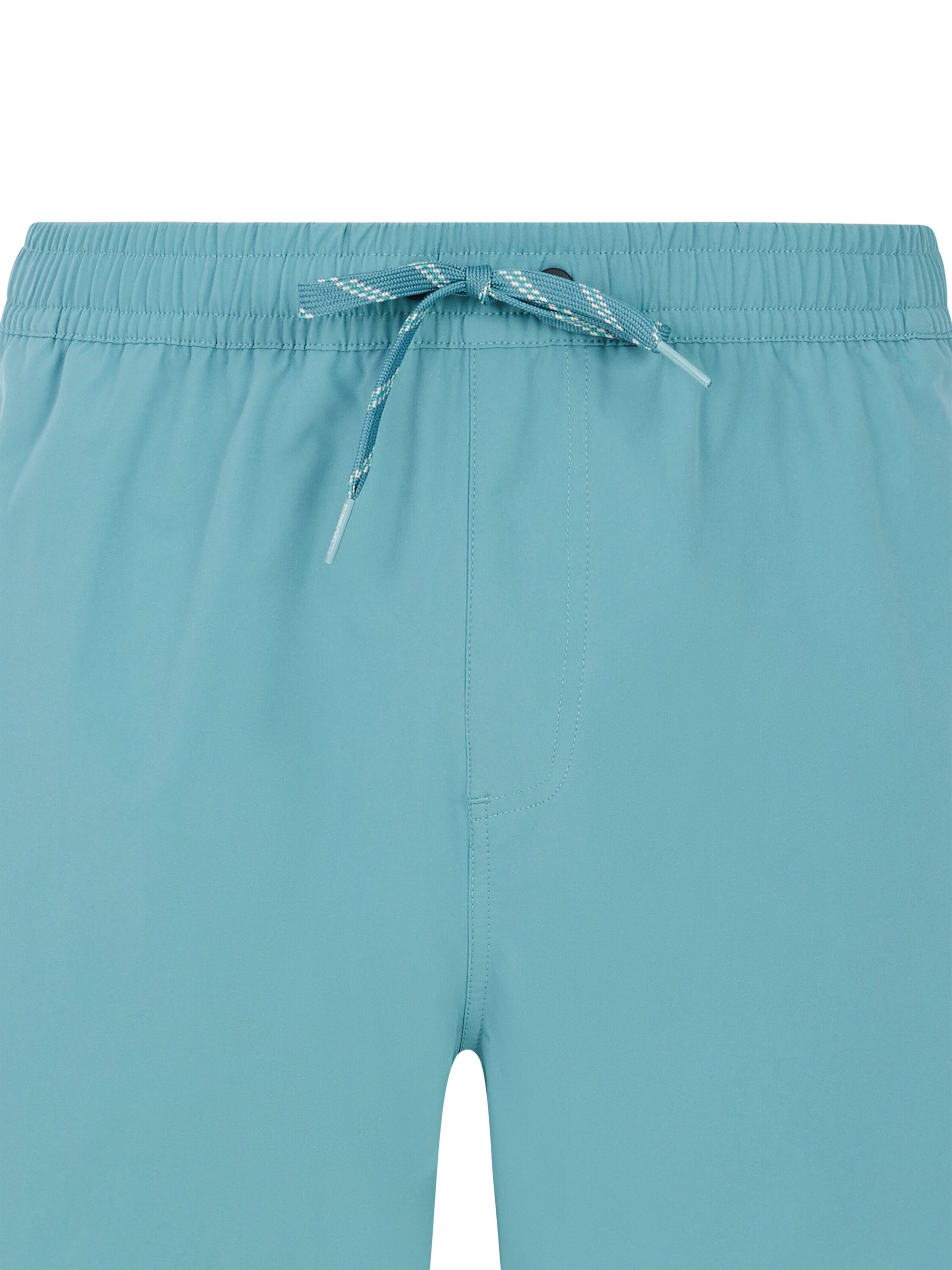 PROTEST Swimming shorts 'PRTBaky' in Green