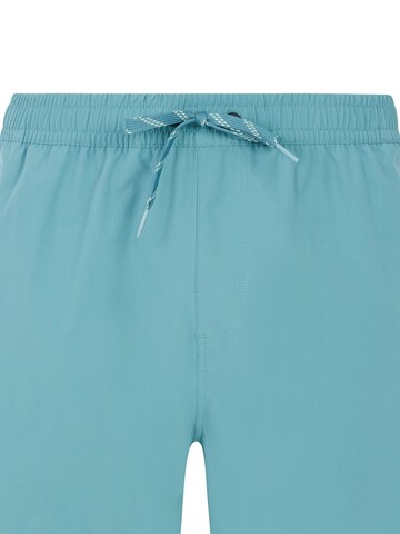 PROTEST Badeshorts 'PRTBAKY' in Grün