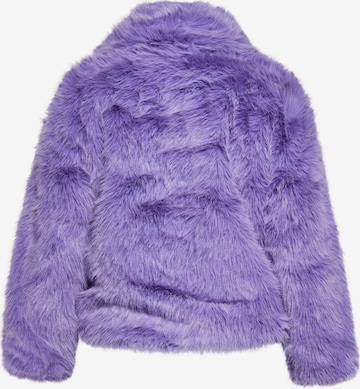 Veste d’hiver 'Caneva' faina en violet