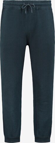 Shiwi Tapered Broek in Blauw: voorkant