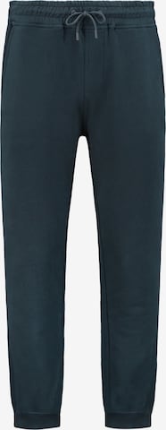 Effilé Pantalon Shiwi en bleu : devant