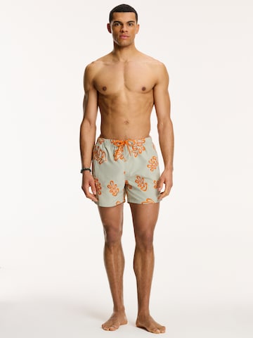 Shorts de bain 'NICK' Shiwi en gris