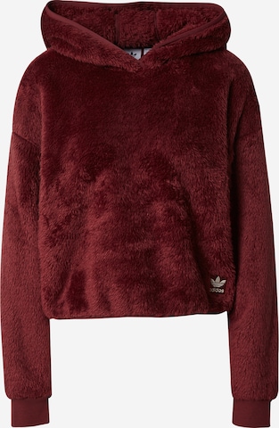 ADIDAS ORIGINALS Sweatshirt 'Essentials+ Fluffy Teddy' in Rot: predná strana