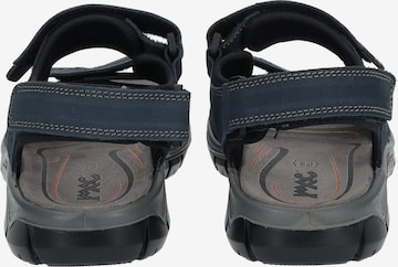 IMAC Hiking Sandals in Blue