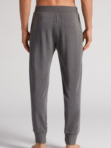 INTIMISSIMI Tapered Hose in Grau