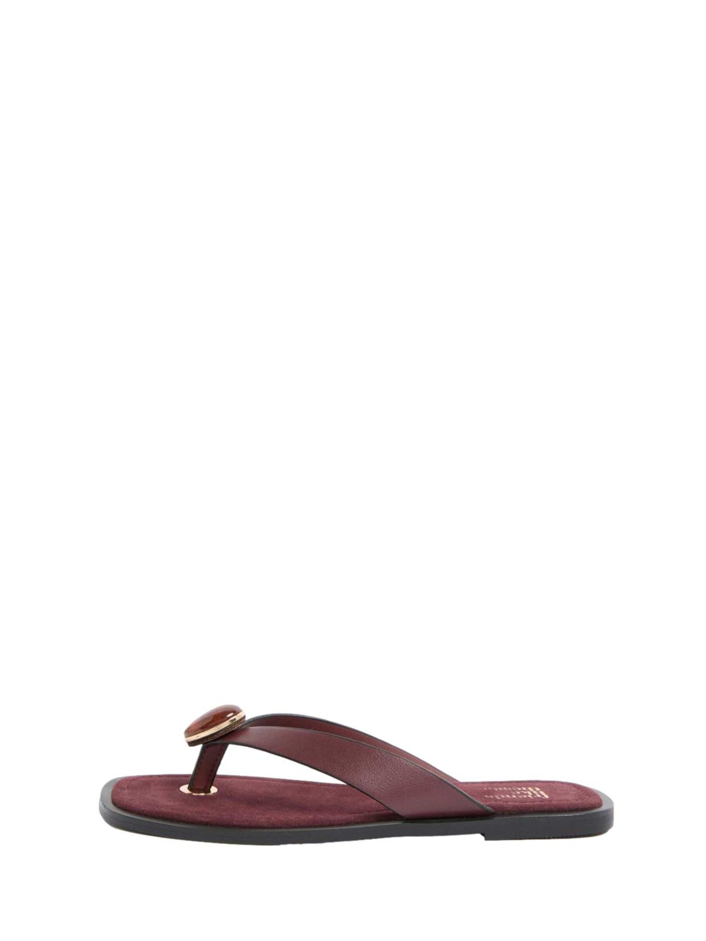 Tongs Friends Like These en marron : devant