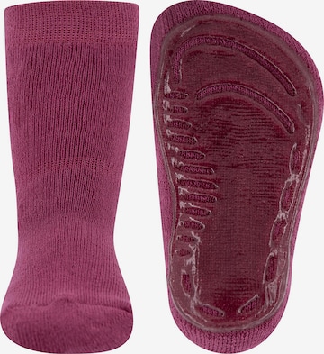 EWERS Socken in Lila: predná strana
