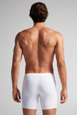 INTIMISSIMI Boxer shorts in White