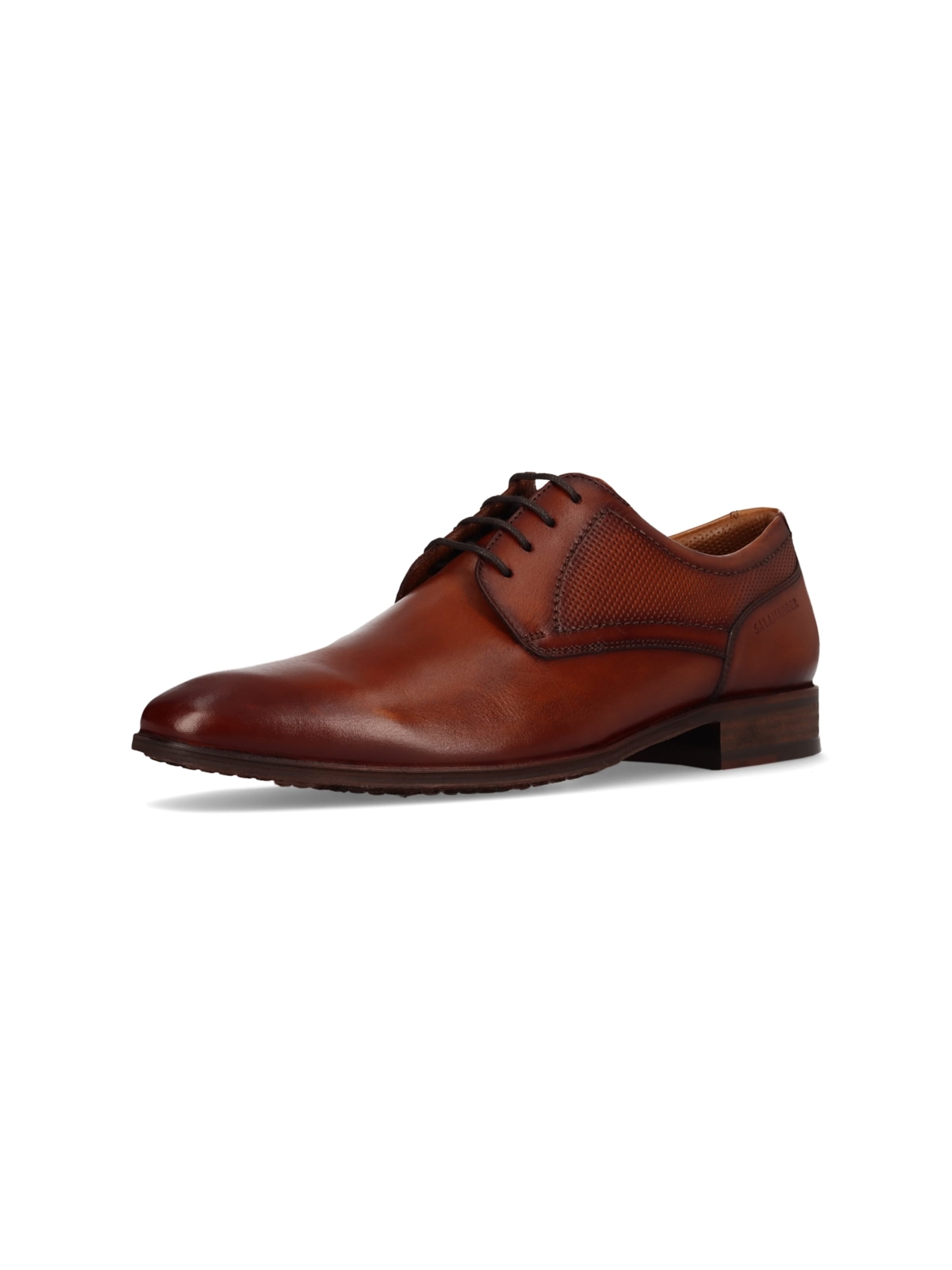 SALAMANDER Lace-up shoe in Brown: front