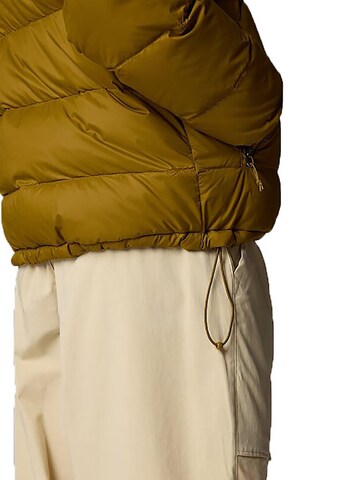 THE NORTH FACE Winter Jacket in Green