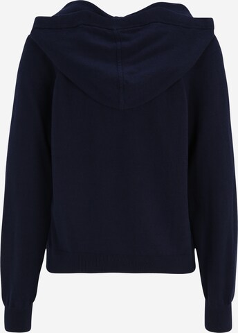 Gap Petite Pullover i blå