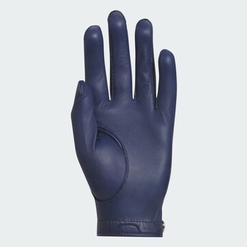 ADIDAS PERFORMANCE Sporthandschoenen in Blauw