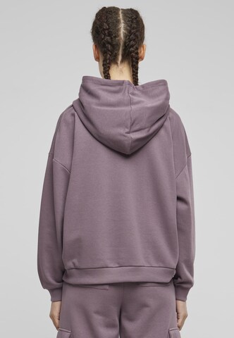 Urban Classics Sweatshirt in Purple