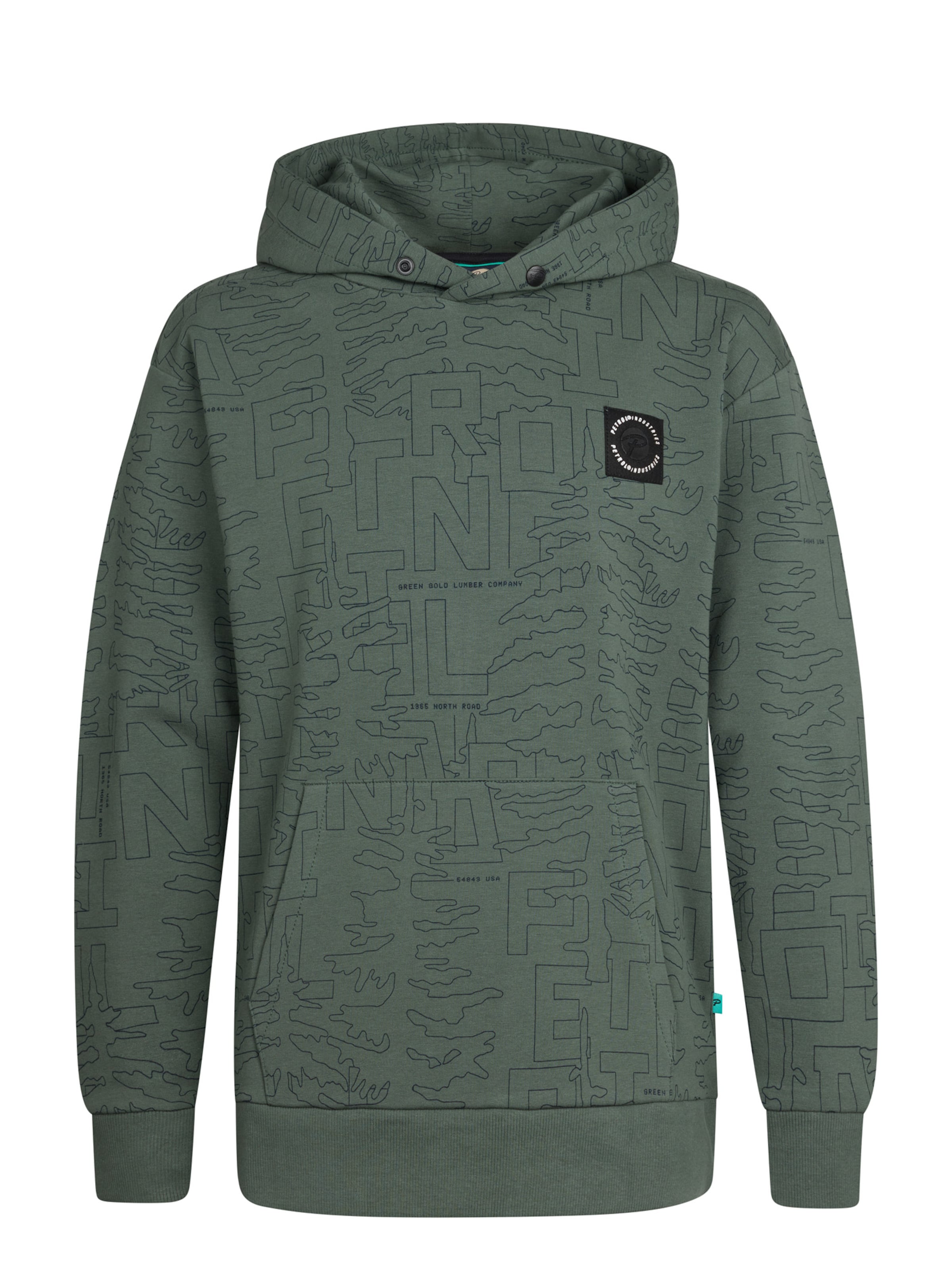 Petrol Industries Sweatshirt 'Blue Ridge' in Groen: voorkant