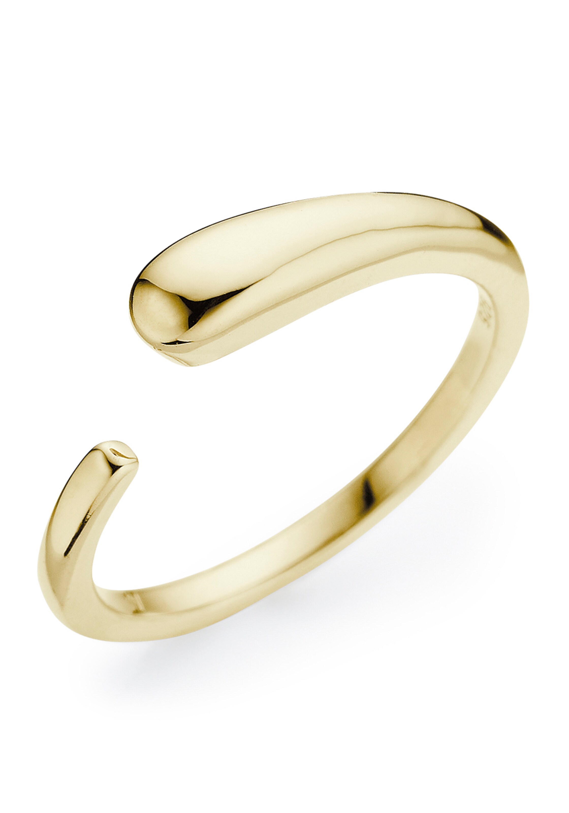 HECHTER PARIS Ring in Gold: Vorderseite