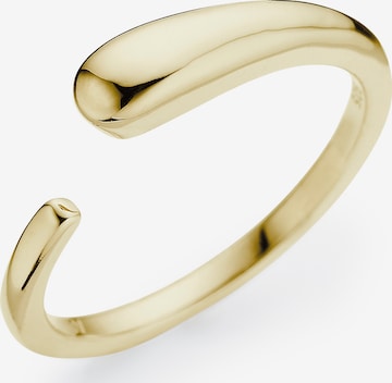 HECHTER PARIS Ring in Gold: predná strana