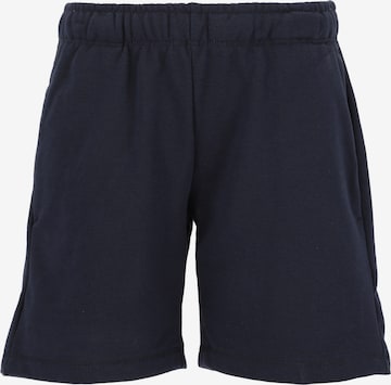 ZigZag Trousers 'Arizona' in Blue: front