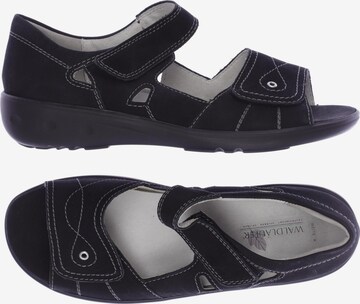 WALDLÄUFER Sandals & High-Heeled Sandals in 39,5 in Black: front