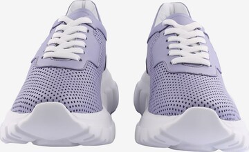 D.MoRo Shoes Sneakers in Purple
