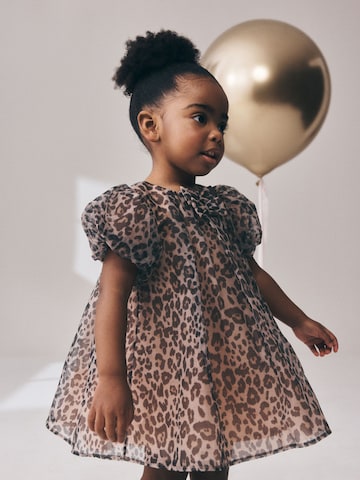 Next Dress in Brown: front