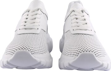 D.MoRo Shoes Sneaker Vengino in Weiß