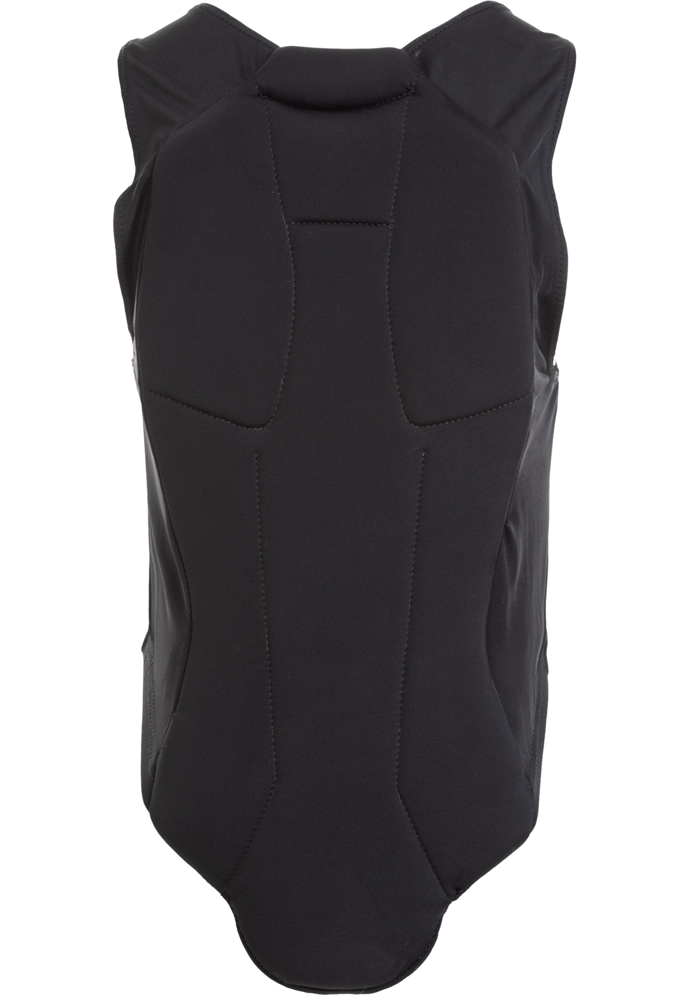 Whistler Rücken-Protektor 'Hirano' in Schwarz