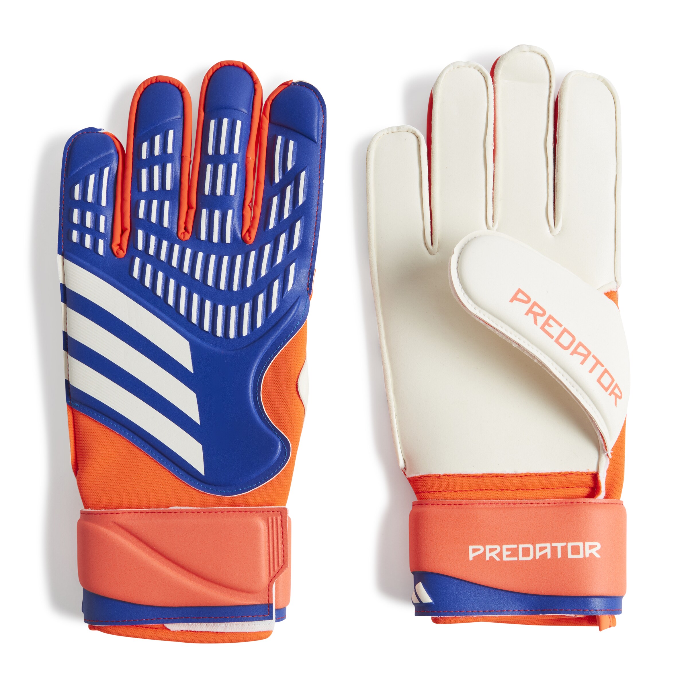 ADIDAS PERFORMANCE Athletic Gloves 'Predator Match Goalkeeper' in Blue: front