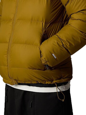 THE NORTH FACE Winterjacke 'Hydrenalite Down' in Grün