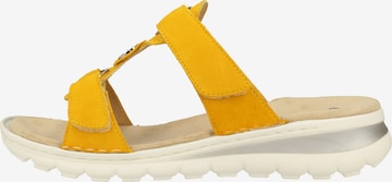 ARA Mules 'Tampa' in Yellow