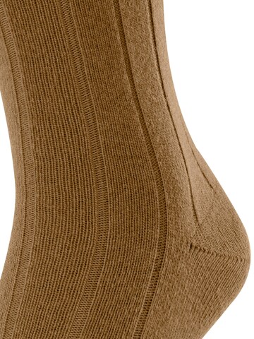 FALKE Socks 'Lhasa Rib' in Brown