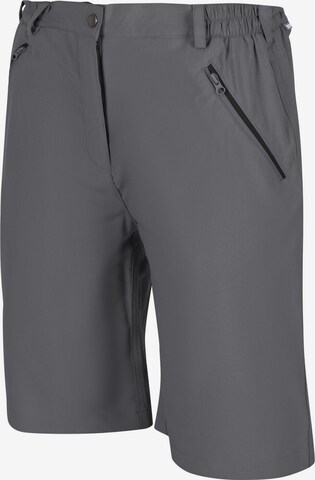 REGATTA Regular Outdoor Pants 'Xert it' in Grey