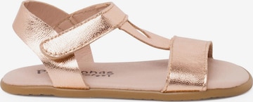 Sandales Pisamonas en marron : devant