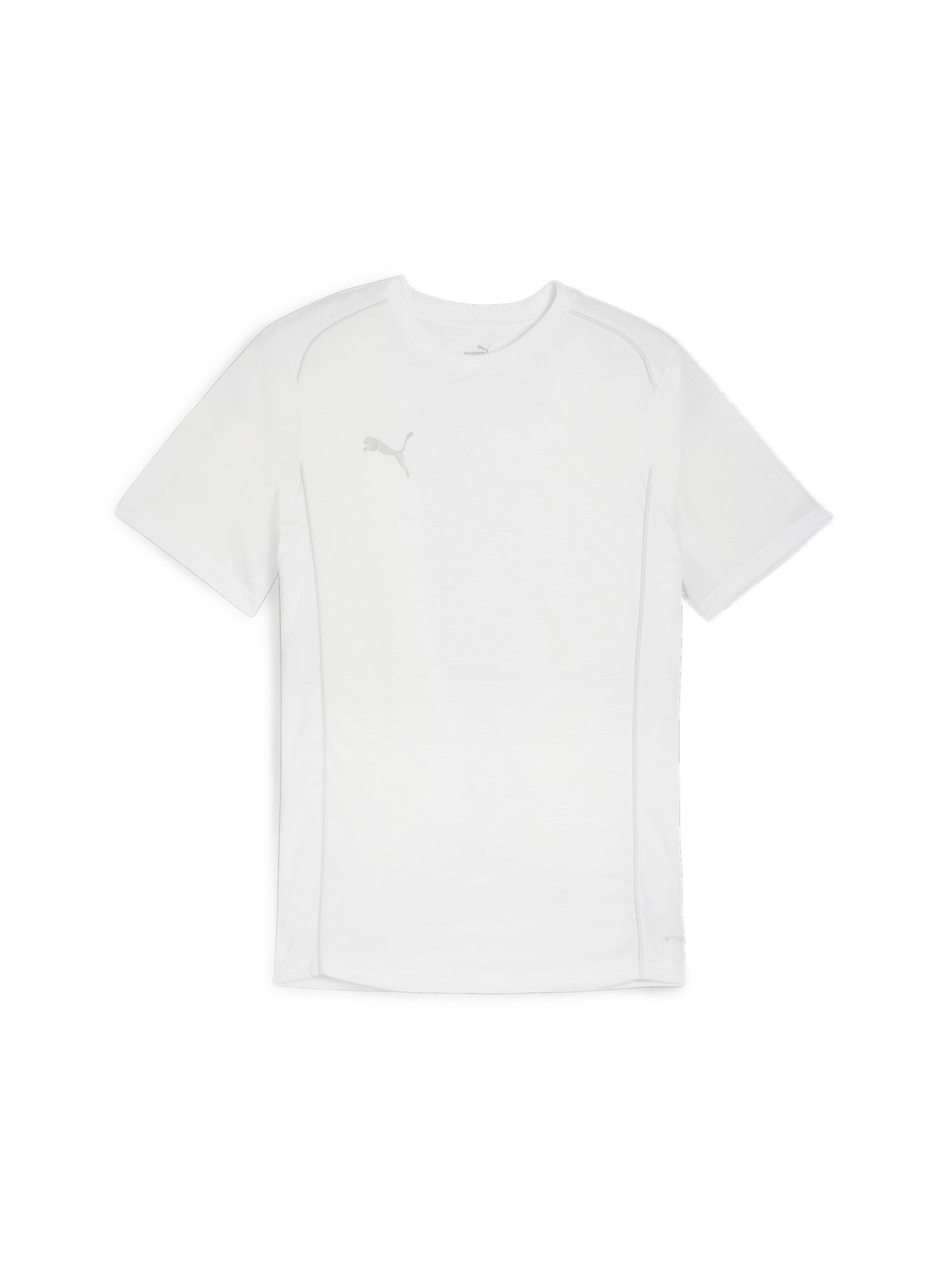 PUMA Funktionsshirt 'TeamFinal' in Weiß: Vorderseite