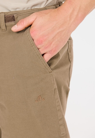 Whistler Regular Sports trousers 'Levanger' in Brown