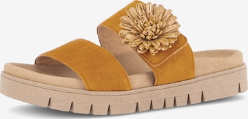 GABOR Mules in Brown: front