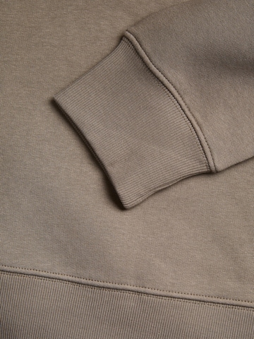 JACK & JONES Sweatshirt 'Star' i brun