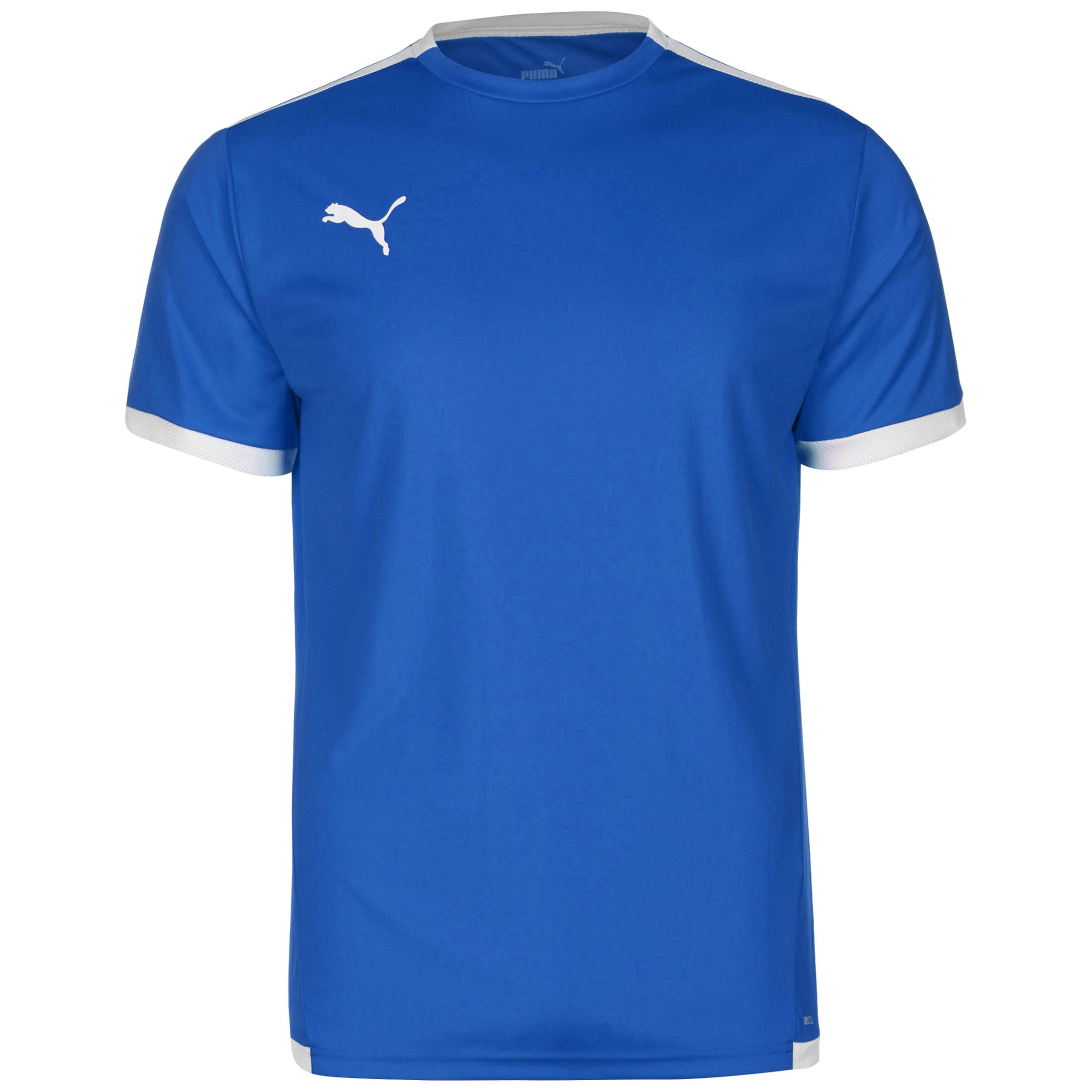 PUMA Performance Shirt 'TeamLiga' in Blue: front