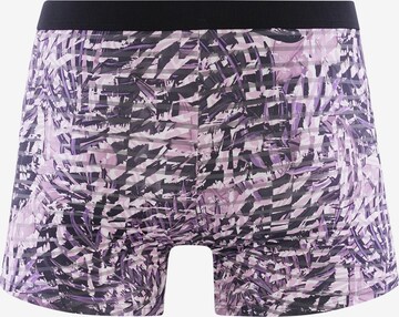 Boxers Olaf Benz en violet