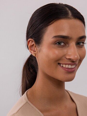 PURELEI Earrings 'Shiny Bloom' in Gold: front