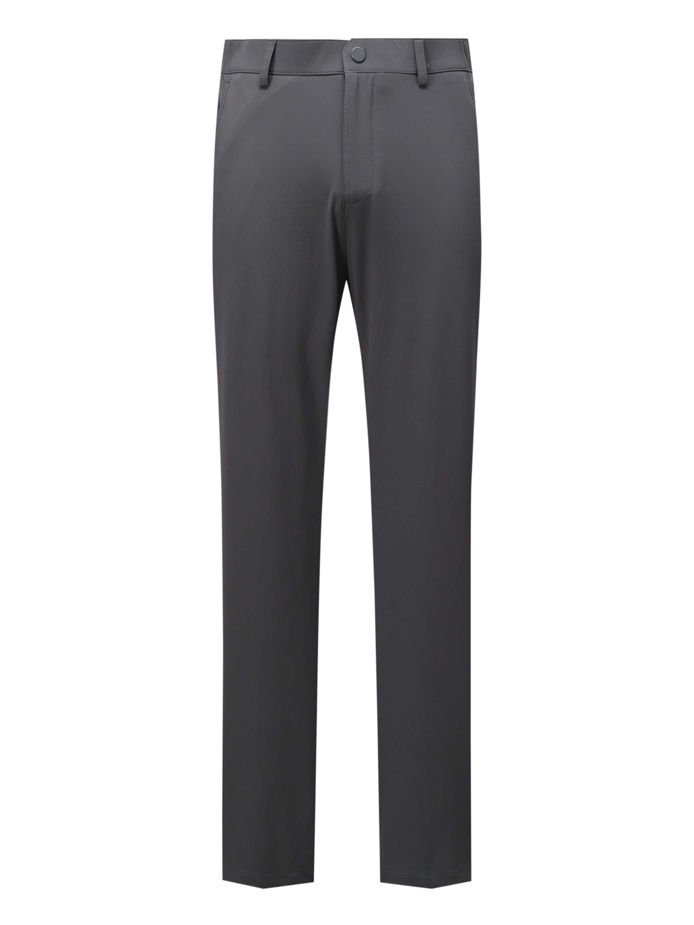 ALLTHEMEN Regular Traditional Pants 'Feder' in Grey: front
