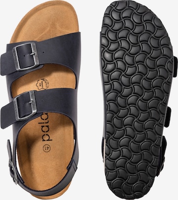 Palado Sandals in Black