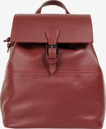 Cluty Backpack in Orange: front