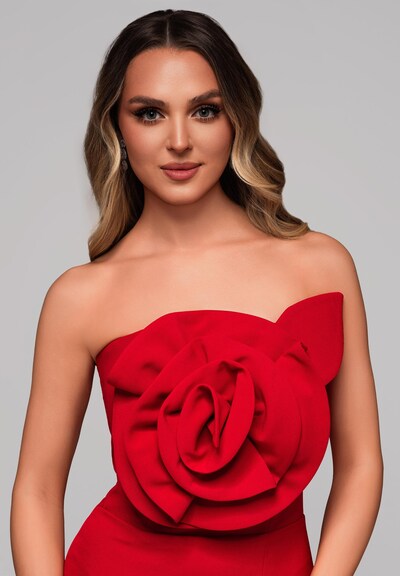 Ombre Evening Dress in Red, Item view